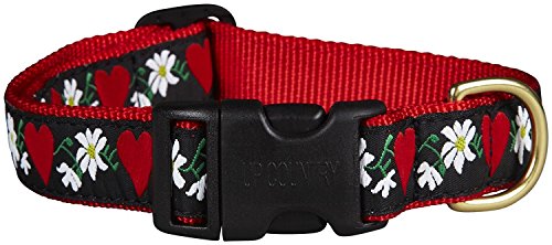 Up Country Hearts & Flowers Dog Collar - Large