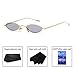 Gamt Vintage Oval Sunglasses for Women and Men Small Metal Frame Candy Colors Grey
