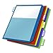 Cardinal Plastic Binder Dividers, Double Pocket, 5-Tab, Insertable Multicolor Tabs, Letter Size, 1 Set (84003)