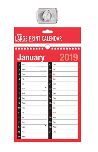 Ebook 2019 A4 Extra Wide 2 Column Month To View Spiral Bound Wall Planner Calendar<br />K.I.N.D.L.E