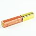 Estee Lauder Pure Color Gloss 