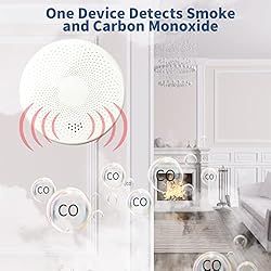 Smart WiFi CO and Smoke Alarm Detector 2 in 1