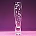 Armour Etch AR10-0101 Glass Etching Deluxe Kit, 1 Pack, Multicolor