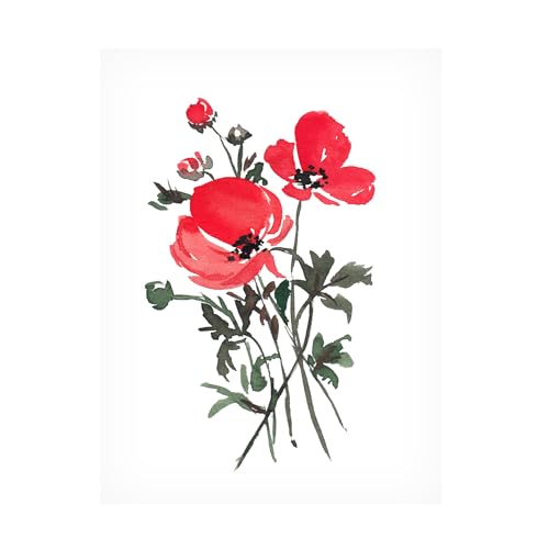 Trademark Fine Art Canvas Wall Art - Amanda Cook 'August Poppy' Wall Art for Li…