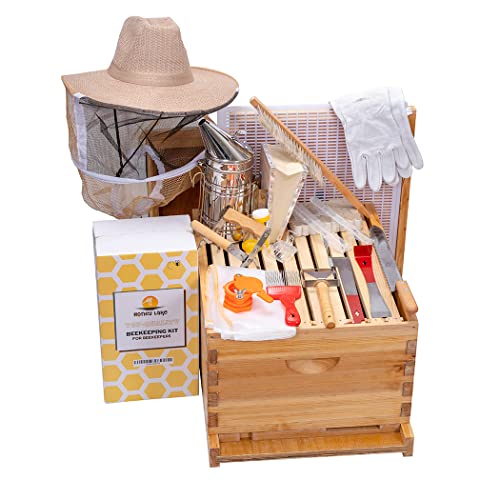Honey Lake 10-Frame Beehive Kit