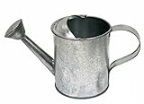 Package of 4 Galvanized Metal Watering Cans