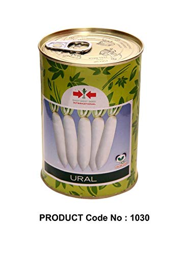 Buy East West Organic F1 Hybrid Radish Ural East West Seeds High Yielding Vegetable Seeds Online At Low Prices In India Amazon In