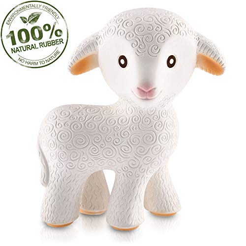 caaocho sensory ball