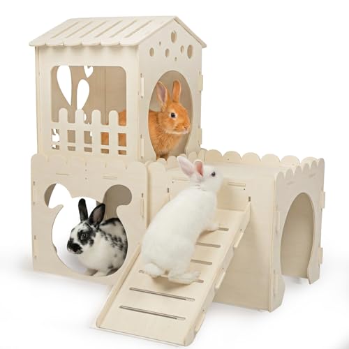 EAROND Rabbit House