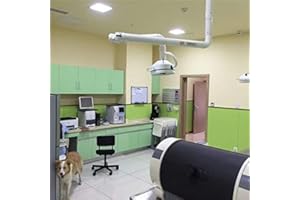 ELE ELEOPTION Professional Ceiling Mounted LED Exam Light - 36W Medical Surgical Shadowless Lamp, 35000 Lux Adjustable Brightness, CE Certified for Dental Procedures