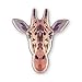 Wild Animal Magnets for Refrigerator Fridge Set Funny Decoration Kitchen Office Whiteboards etc for Kids Toddlers and Adult(African animals)