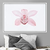 Framed Canvas Wall Art Pink Flower Snapshot Closeup Floral Multicolor Pastel Photography Relax/Calm Romantics Single - 16x24 inches