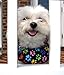 Puppy Bumpers Keep Your Dog on The Safe Side of The Fence - Rainbow Paw (10-13