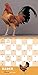 Extraordinary Chickens 2019 Wall Calendar