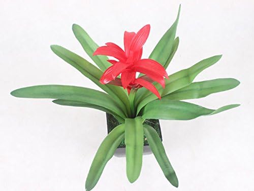 Lariy Lifelike Guzmania conifera potted artificial plants and flowers£¨Pot Included£