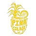 Baja Bob's PINA COLADA Mix - 43g Packet - Makes 16 Pina Coladas Each, Cocktail Mixer (2-pack)