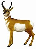 Hunter Dan Prairie Rocket Pronghorn Antelope