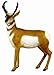 Hunter Dan Prairie Rocket Pronghorn Antelope