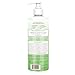 Babo Botanicals Purifying Swim & Sport 2-in-1 Shampoo & Wash with Natural Cucumber and Aloe Vera, for Babies, Kids or Sensitive Skin 16 Fl Oz