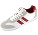 Alpine Swiss Haris Men's Suede Trim Retro Striped Sneakers