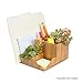 MobileVision Bamboo Succulent Plant Holder Desktop Organizer for Pens Pencils Files & Notepads; Gift for Back To School Teachers Employees Assistants