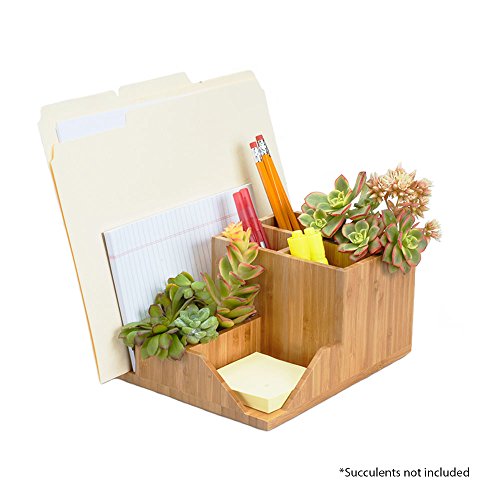 image for MobileVision Bamboo Succulent Plant Holder Desktop Organizer for Pens 