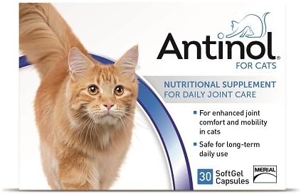 Antinol Merial Joint Health Supplement Fur Katzen Soft Gel Kapseln 30 Count 1 Packung Amazon De Haustier