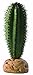 Exo Terra Saguaro Cactus Terrarium Plant
