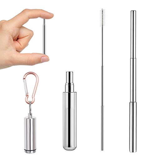 2019 Latest Telescopic Collapsible Metal Straws Reusable Keychain Portable Stainless Steel Straw with Case and Cleaning Brush