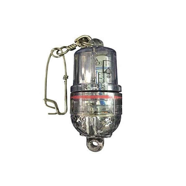 DEEP-DROP-FLASHING-LED-LIGHT-FOR-FISHING