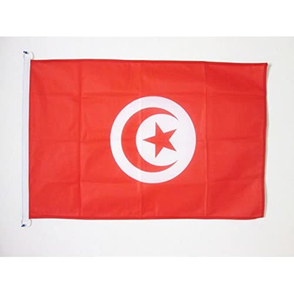AZ FLAG - Tunisia Flag - 2x3 Ft - For Outdoor - Tunisian Banner Knitted Polyester with Two Plastic Rings - Fade Resistant - Vivid Colors - 2' x 3' Feet - 90x60 Cm