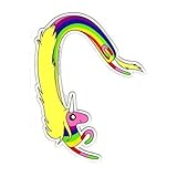 Adventure Time Lady Rainicorn Magnet