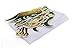DROEAY BeeGreen Dinosaur-Party-Supplies-Invitations with Envelopes for Kids Boys Girls Birthday 24 Pack, Dino Invites Cards for Dinosaur Theme Party