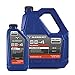 Polaris Slingshot SS-4 5W-30 Full Synthetic Engine Oil for All Models, High Temperature Viscosity Protection, Enhanced Engine Performance, Reduced Friction and Wear, 1 Quart, Qty 1-2879409