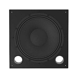 Tannoy Outdoor 12" Ceiling Subwoofer for Install