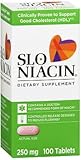 Slo-Niacin 250 mg, Polygel Controlled Release Tablets - 100ct, Pack of 3