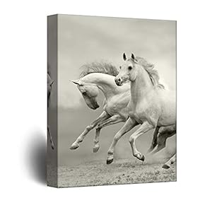 Canvas Wall Art - Galloping White Horses - Giclee Print Gallery Wrap Modern Home Art Ready to Hang - 12x18 inches
