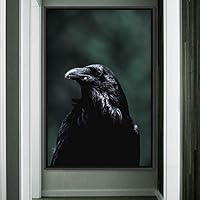 Framed Canvas Wall Art Single Bird Birds Expressive Farmhouse/Country Multicolor Photography Portrait Single - 16x24 inches