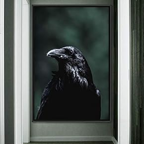 signwin Framed Canvas Wall Art Single Bird Birds...