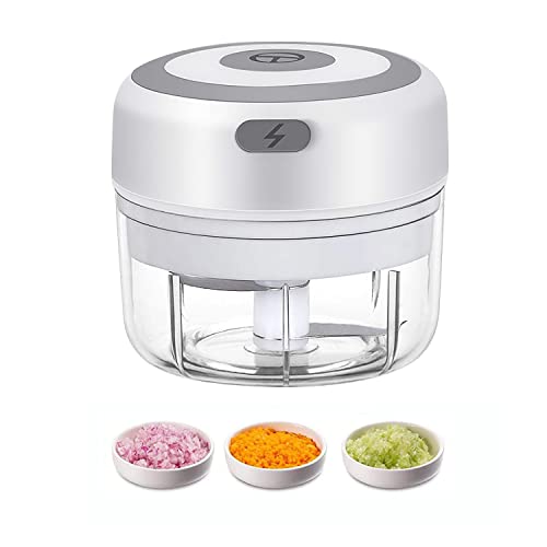 Electric Mini Garlic Chopper, 100ML USB Mini Food Chopper Garlic Mincer