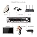 GT Media V8 Nova DVB-S2 Satellite Decoder Digital TV Receiver with Built-in Wi-Fi / SCART / 1080P Full HD / FTA Support CCcam, PVR Ready, Newcam, YouTube, PowerVu Dre Biss Key by Aoxun