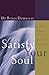 Satisfy Your Soul: Restoring the Heart of Christian Spirituality