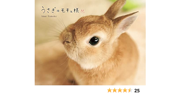うさぎのモキュ様 Amazon Com Books