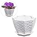 MyGift Decorative Woven Design Star Shaped White Ceramic Flower Plant Pot/Succulent Display Planter Container
