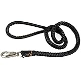Berry Pet Leather Dog Leash, Braided Pet Lead Medium/Large Dogs Training & Walking,3/4