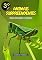 Livro Animais Surpreendentes: Fatos Divertidos e Curiosos (Coleção Animais Surpreendentes Livro 3)