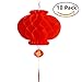 FancyWolf 10 Pcs Chinese New Year Lanterns Red Lanterns Set of 10 for Chinese Spring Festival Wedding Festival Restauran Party Decoration (20 Cm/7.9
