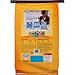 Purina Kitten Chow Nurture Cat Food (14 lb. - Pack of 3)
