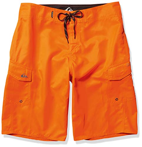 Quiksilver Men's Standard Manic 22 Inch