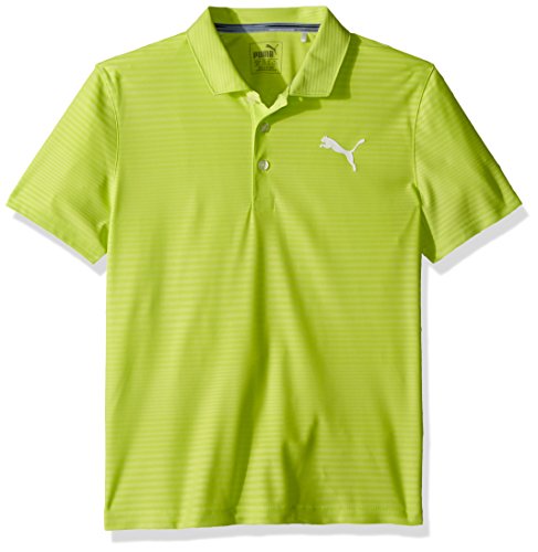 PUMA Golf Teen-Boys 2018 Boy's Pounce Aston Polo Ghana Ubuy